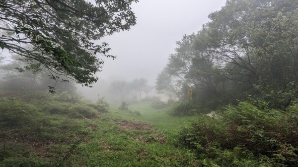 112.06.03風櫃嘴-頂山-石梯嶺-擎天崗東峰-頂山西南峰2172387