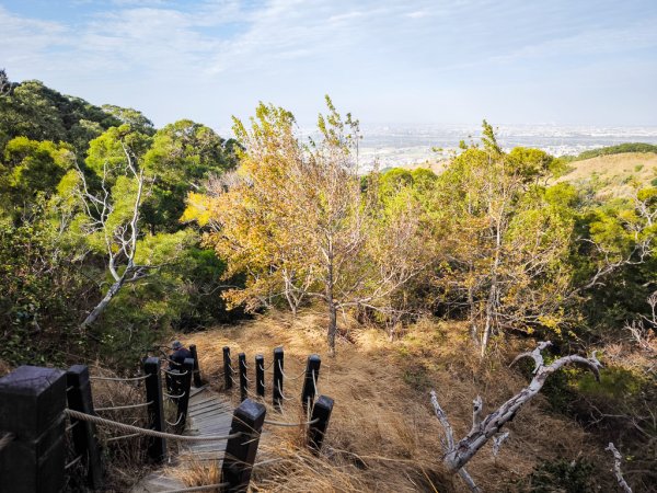 2025-12-14 大肚萬里長城步道、環保公園步道、旗開得勝步道2968972