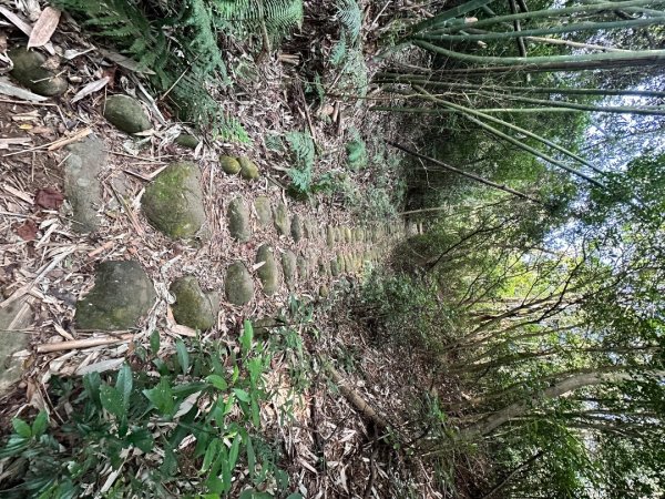 新竹新埔-蓮華山古道2628611