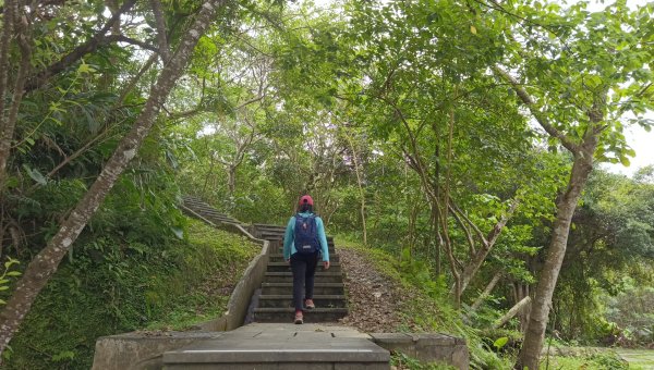 (姨婆趴趴走)第五十二集:新北新店攀登和美山及灣潭山2761093