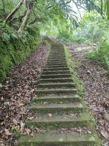 微笑山線：【五分山系】菁桐煤礦段、平溪小黃山段、望古瀑布段2841292