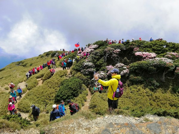 【南投。仁愛】百岳賞花嘉年華。編號35百岳~合歡東峰