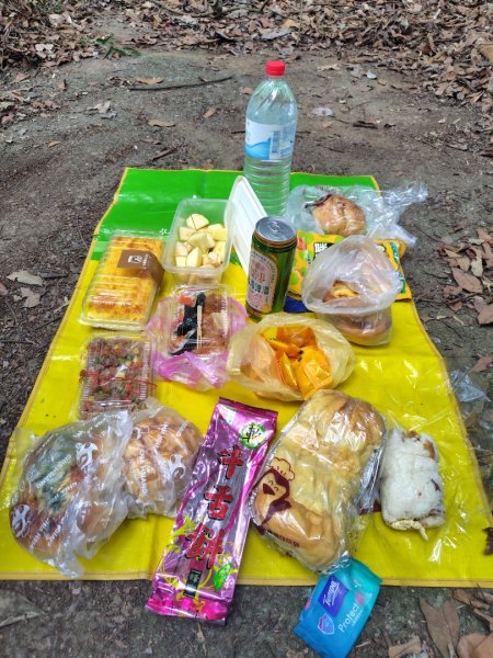 大棟山系南段 水利古道西口 上 竹高崙山 連走 鳥子嶺 坑仔內山 大崖山 下 龍目井農場2953176
