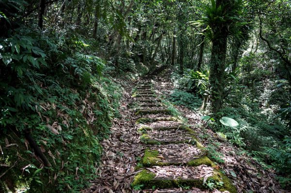 平溪孝子山＋慈母峰2821712
