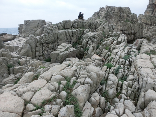 龍洞灣岬步道．龍洞攀岩場92450
