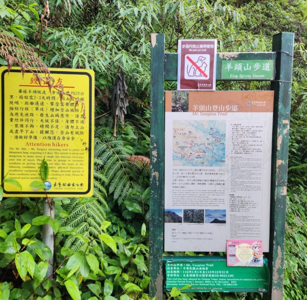【百岳】雲海的浪漫，羊頭山單攻3045324