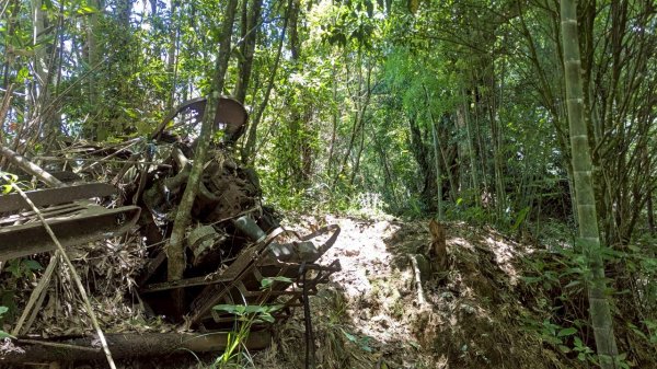 鳳凰山步道（溪頭）2838222