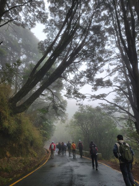 20260301鹿林山麟趾山3013005