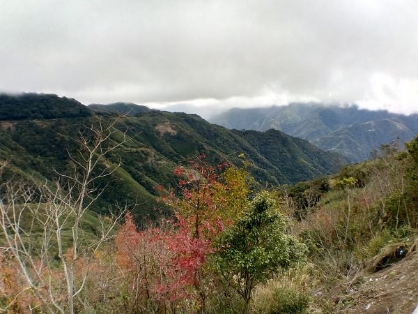 20171217李崠山一等三角點271367