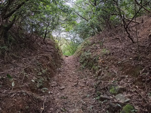 貢寮區蚊子坑古道+和美池+和美山+北勢坑古道2990873