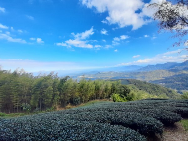 鹿谷小半天6峰連走1269689