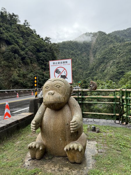 登仙橋賞猴2704783