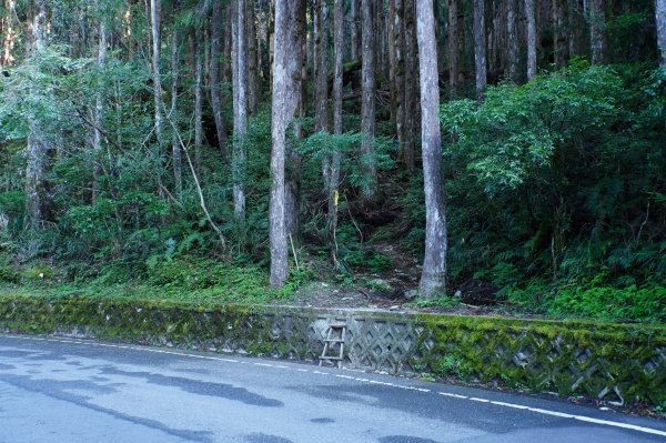 宜蘭 大同 三星山2890378