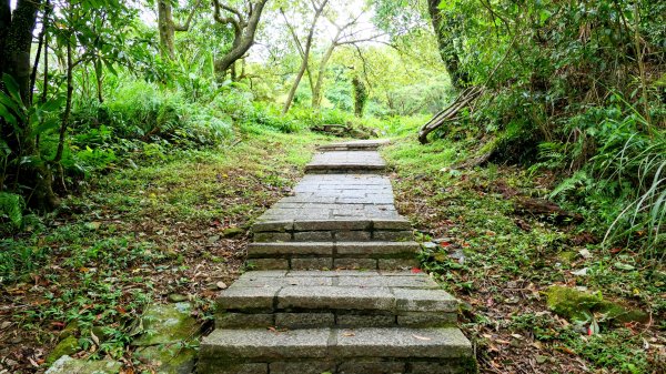 大尖山步道2833793