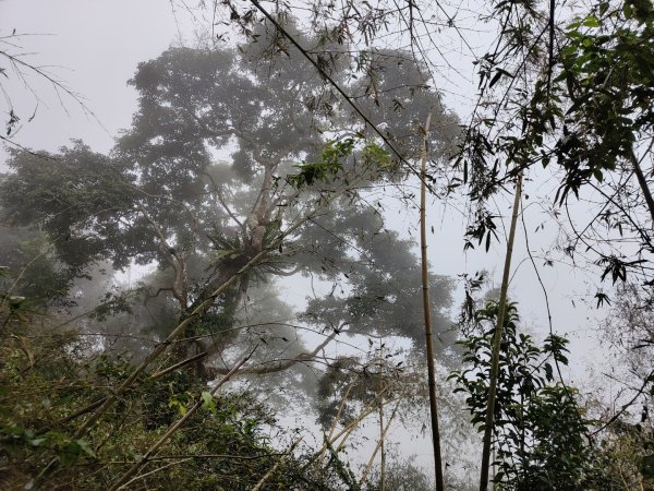 2023.12.24 大湖尖山2838740