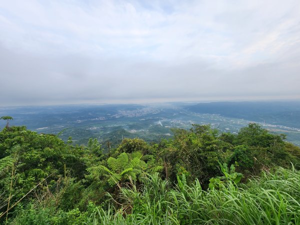 20250427大山背山田寮山毬子山騎龍山2933635