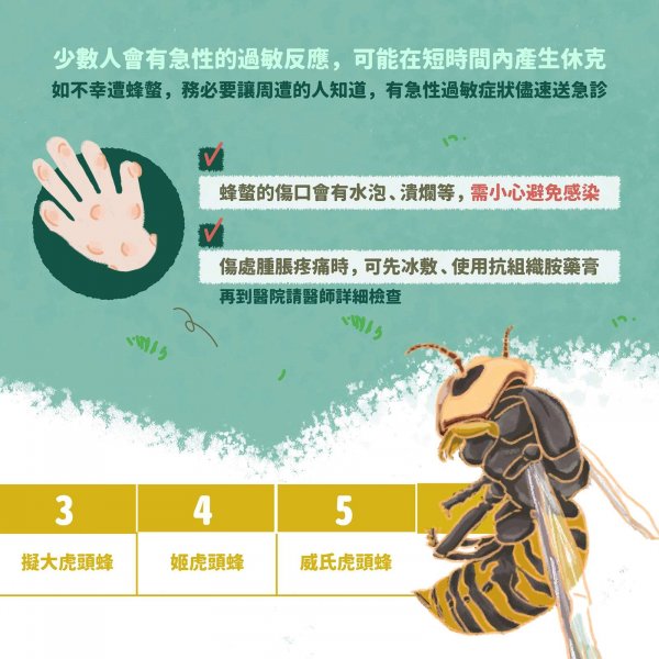 【戶外百科】登山休閒時遇到虎頭蜂怎麼辦？