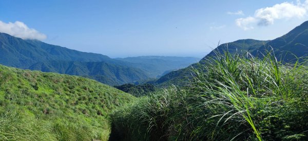 20230527 風櫃嘴-魚路古道-金山2252679