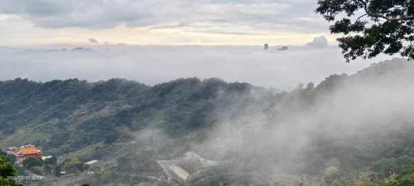 #雲瀑 #雲海 #琉璃光 #天空之城（林口）#觀音山 #林梢步道 3/13008592