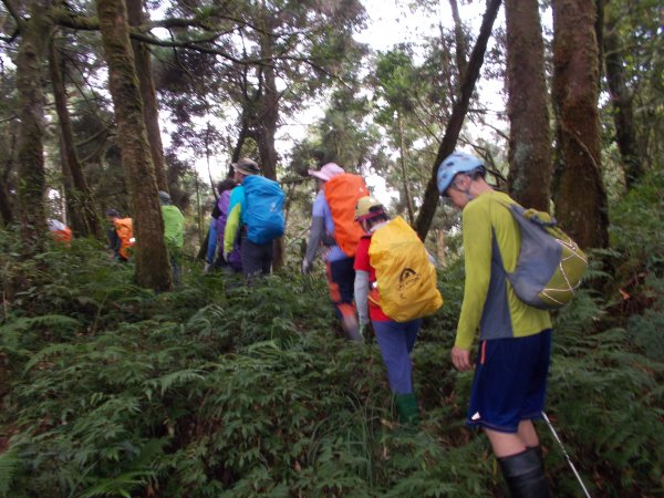 蕃社坑山連走鳳紗山隘勇線1107140