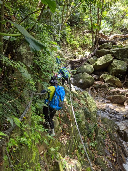 【屏東-小百岳】三大郊山 里龍山O走1025770