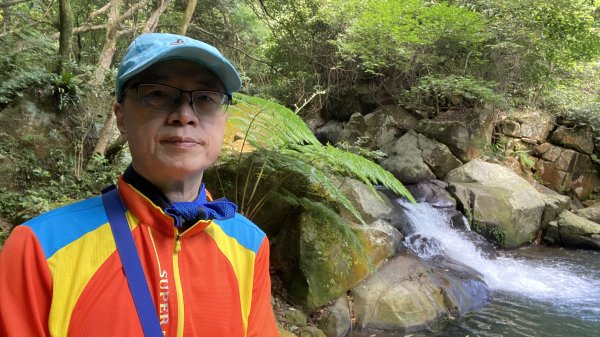 走青山瀑布探老梅冷泉|Qingshan Waterfall|秘境不秘|老梅瀑布|峯花雪月2561835