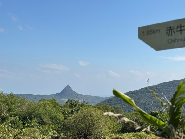 恆春大縱走:鎮南宮-赤牛嶺-大山母山(小百岳#81)-南灣出2963748
