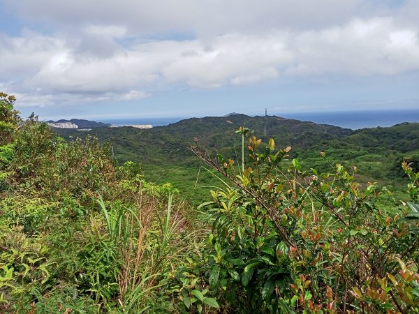 【瑞芳四秀】白象山(又名弘明山)→秀崎山→瑞芳山→龍潭山1651438