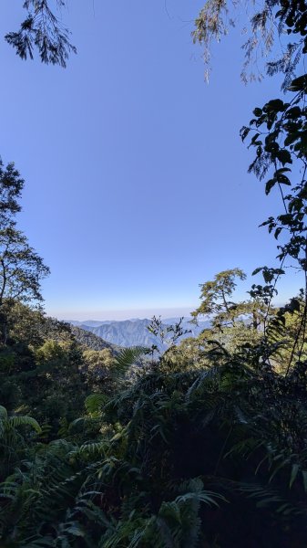 八仙山主峰步道3021281