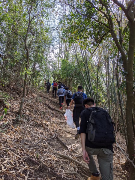 【高雄】玉山尾稜 旗尾山948089