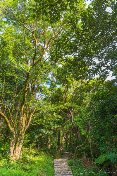 [新北]汐止大尖山2906099