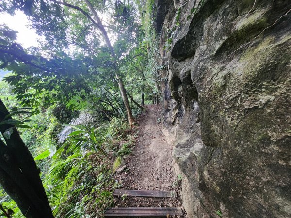 20240721泰安登山步道登七塊山2599949