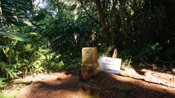 打鐵寮 草嶺山 石龜坑山 白石山連走1265227