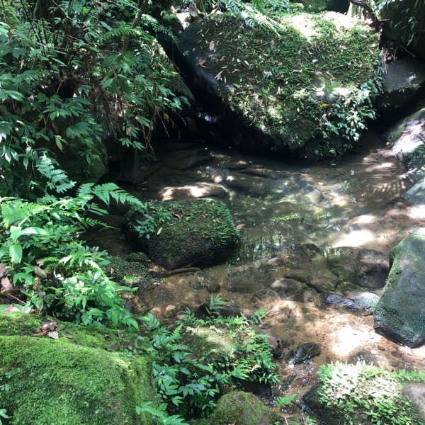 臭頭山 到 東勢格山1009236