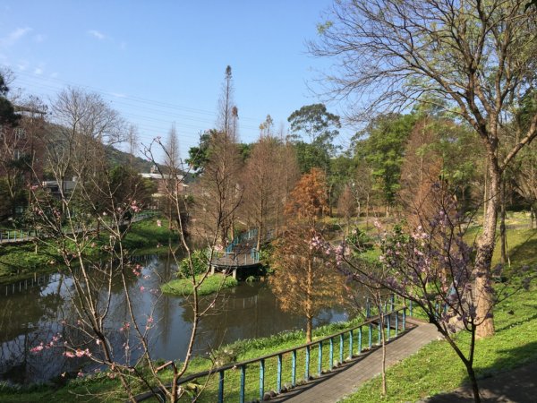 福氣步道、養生步道、長庚養生文化村2441866