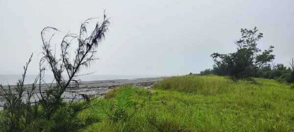 台東．森林公園202508013019169