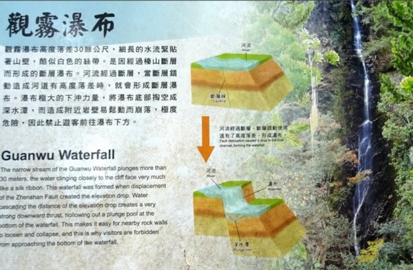 觀霧瀑布 賞鳥步道2927356