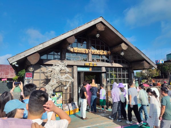 韓國濟州島：羊陀牧場：小羊肖恩2912540