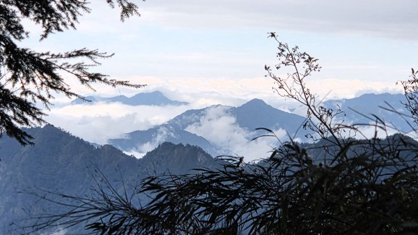 環繞在楓紅巨木和滿山翠綠的鞍馬山及大雪山小神木森林步道的悠哉山行記2996766