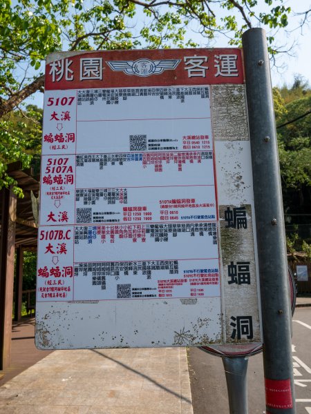 三民蝙輻洞2802496