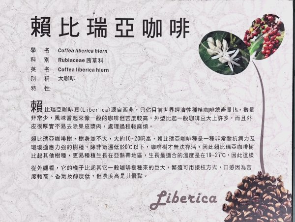 2026/02/27-荷苞山登山步道3010030