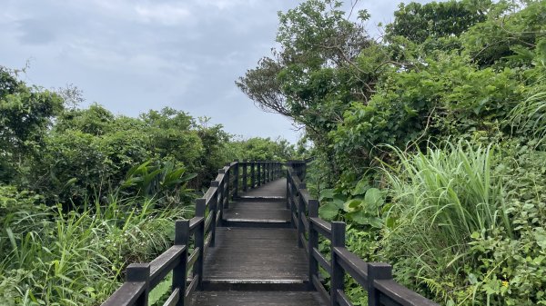 基隆的十八傘人家族2782874