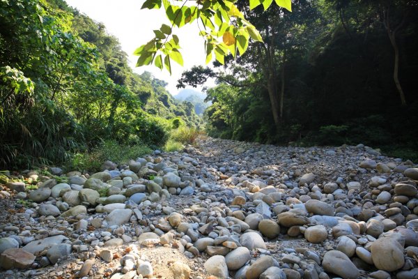 大坑四號登山步道422054