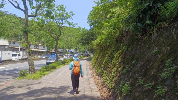 (姨婆趴趴走)第五十三集:台北內湖三山（白鷺鷥山、康樂山、明舉山）連走2774598