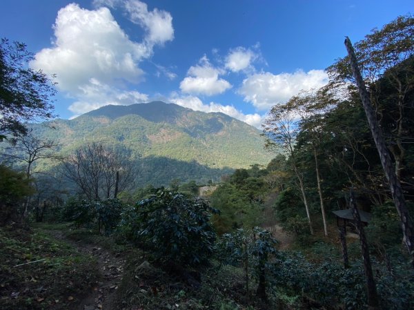 唐麻丹山-松鶴上三角點O型回松鶴2378407