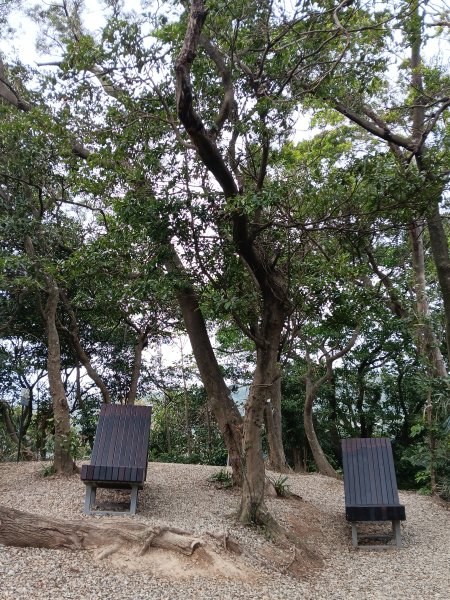 微笑山線大棟山系百年大榕樹段+大湖坑步道2981046