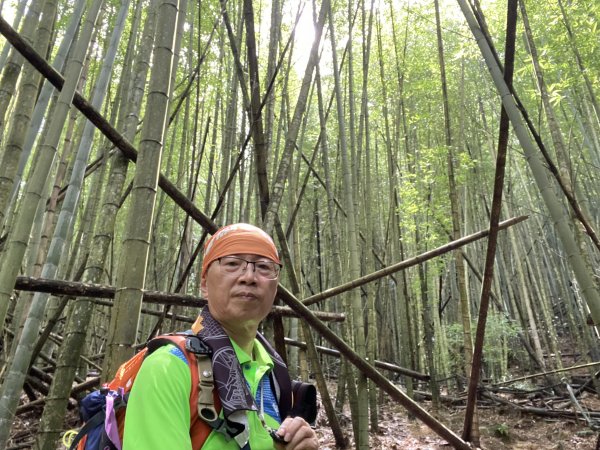 精彩的水社大山行|白石山土地公廟|Great Mt. Shuishe|쉐이써따신|峯花雪月2263869