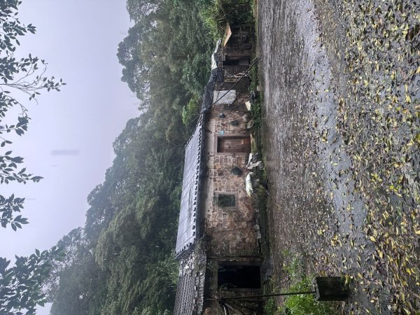 2024草嶺古道芒花季草嶺古道2644782