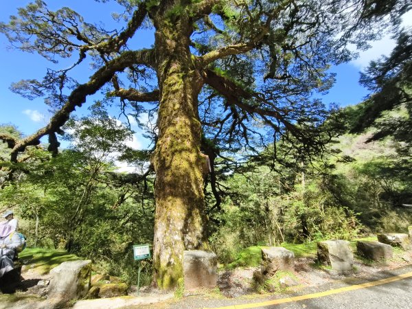 [玉山尋寶任務-09/12] 2025_0928 麟趾山步道2899880
