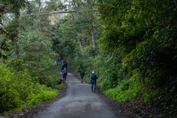 2025-02-07 北港溪峽谷步道2708289